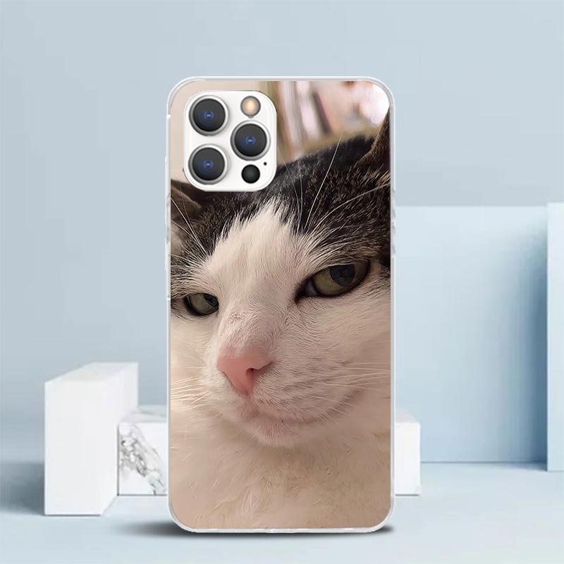 ペット猫の面白いミーム柄ソフトカバー iPhone 16 1 - Phone Cases That Fit Iphone 16E のレビューと価格